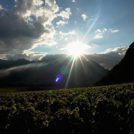 Casa de Férias Clos Des Caillettes Bex
