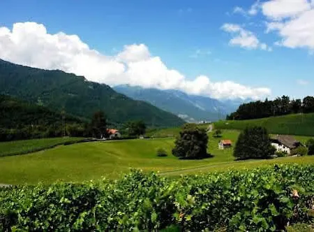 Clos Des Caillettes Holiday home *